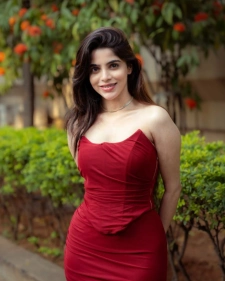 Hyderabad Escort Services